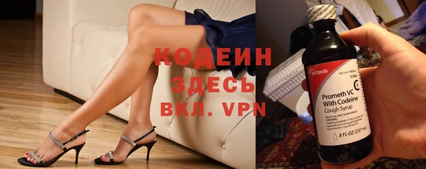 молекула духа Лабытнанги