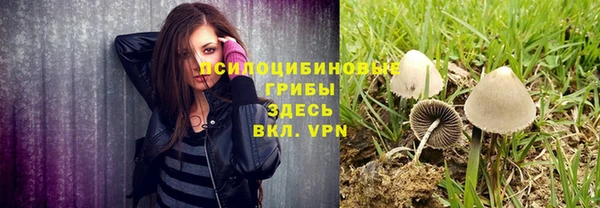 молекула духа Лабытнанги