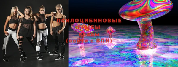молекула духа Лабытнанги