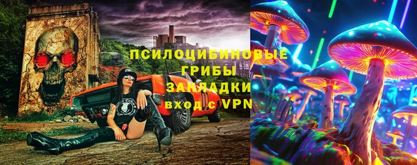 молекула духа Лабытнанги